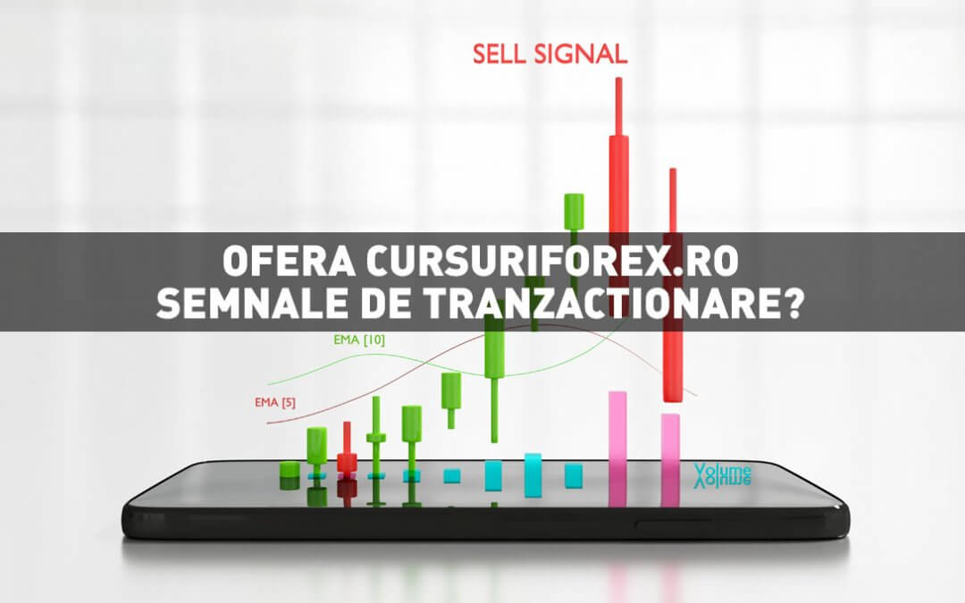 Ofera CursuriForex.ro semnale de tranzactionare Forex?