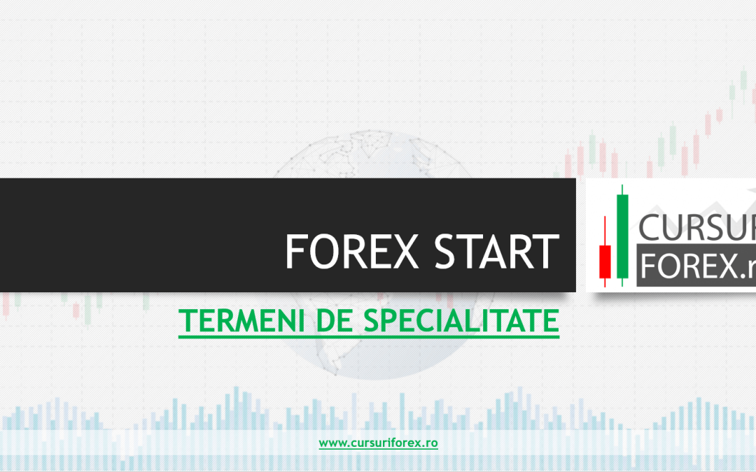 Termeni de specialitate Forex – Curs Forex One – Video 4