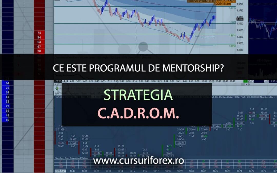 Ce este programul de Mentorship?